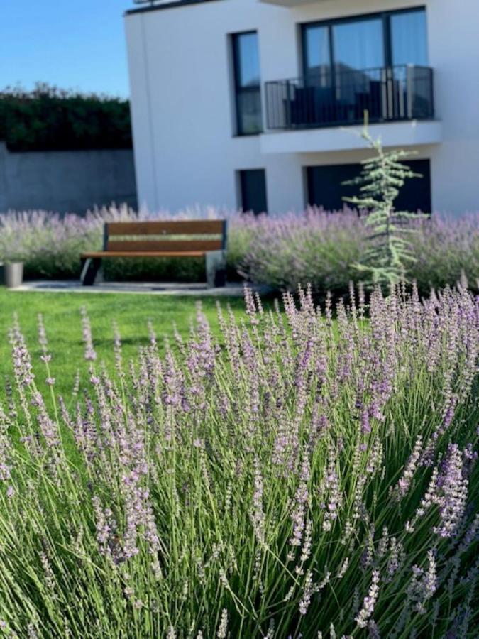 Paskom Apartmanház Nyergesujfalu Exteriér fotografie